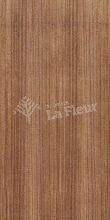 Sapele - les boisés La Fleur