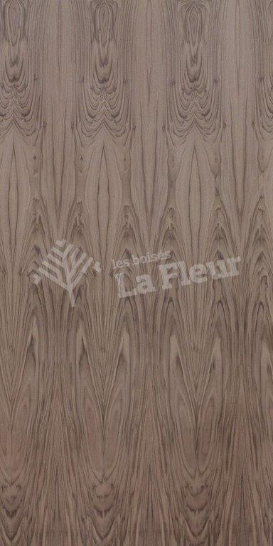 Walnut - les boisés La Fleur