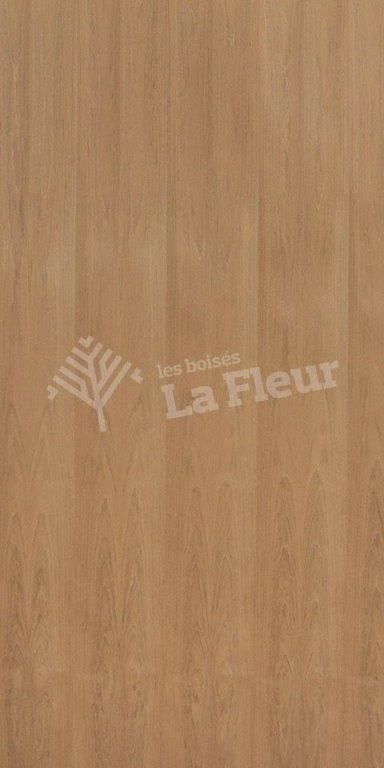 Jatoba - les boisés La Fleur