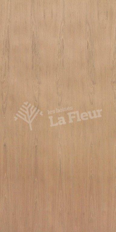 Jatoba - les boisés La Fleur