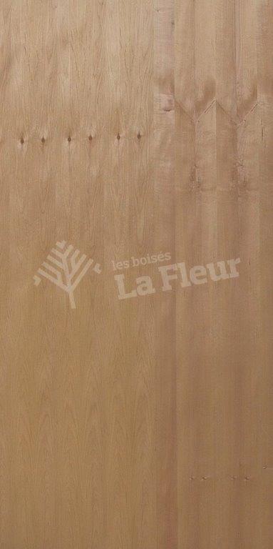Red Alder - les boisés La Fleur