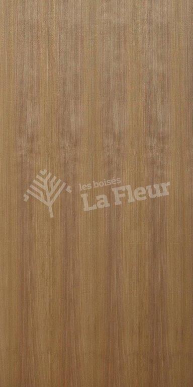 Red  Elm - les boisés La Fleur