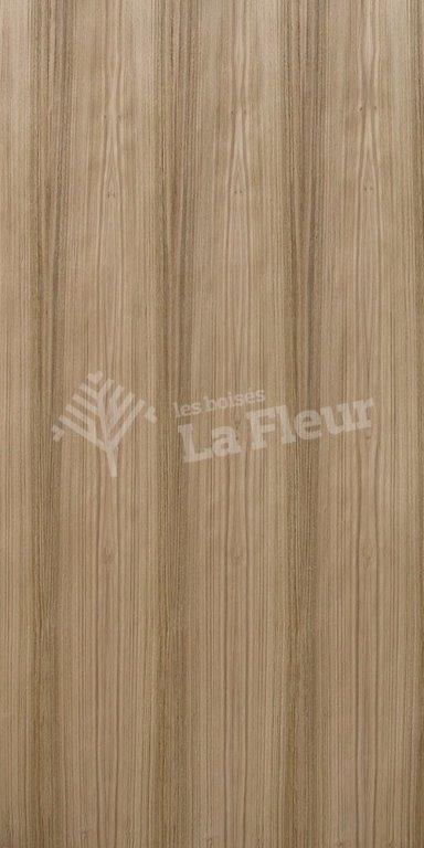 Eucalyptus - les boisés La Fleur