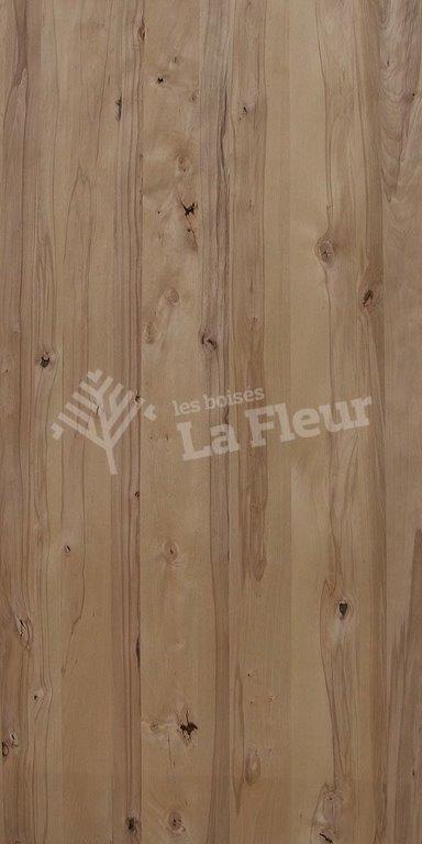 Beech - EU - les boisés La Fleur