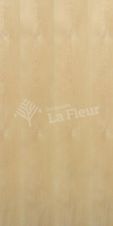 Beech - EU - les boisés La Fleur