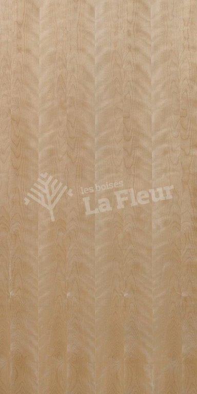 Birch - les boisés La Fleur