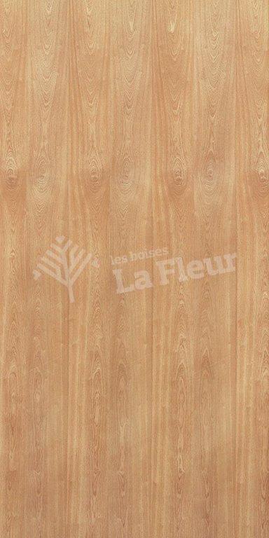 Sapele - les boisés La Fleur