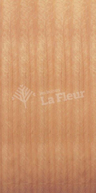 Cherry - les boisés La Fleur