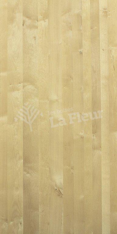 Red Alder - les boisés La Fleur