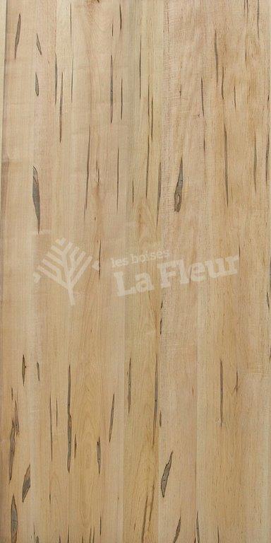 Maple - les boisés La Fleur